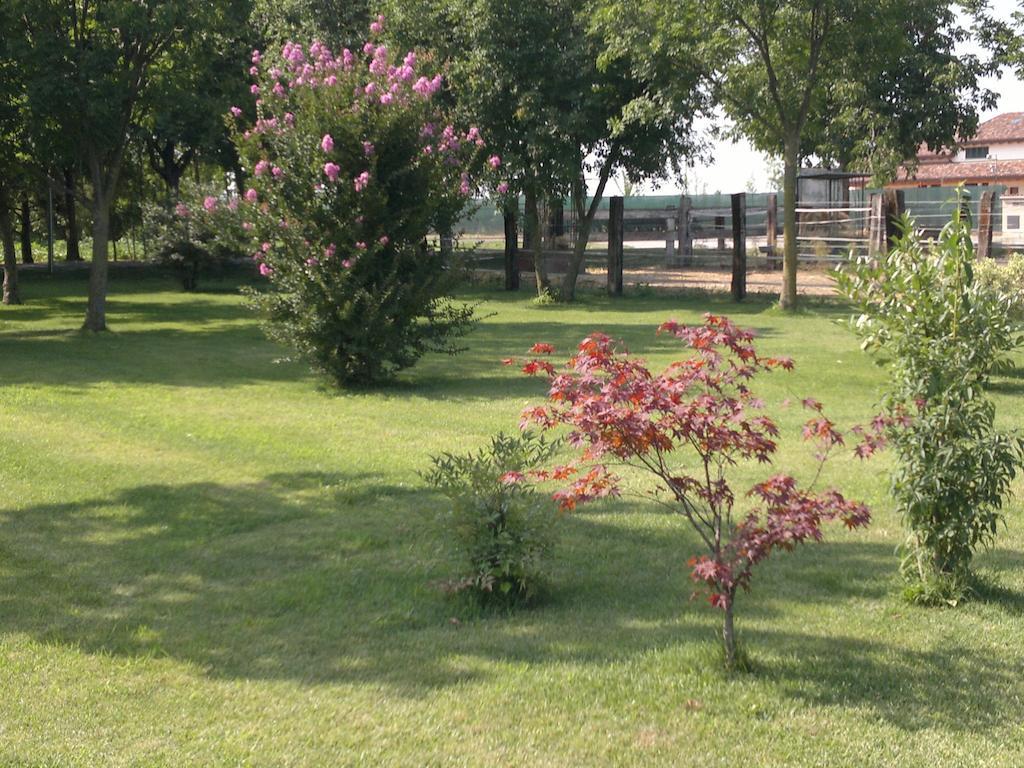 Agriturismo Arte Contadina Fiorenzuola dʼArda Zewnętrze zdjęcie